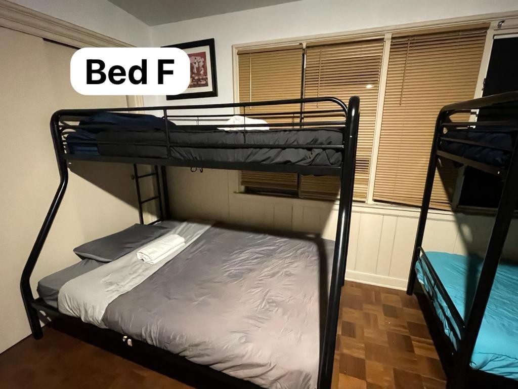 Pill Hill Mansion Hostel Chicago Luaran gambar