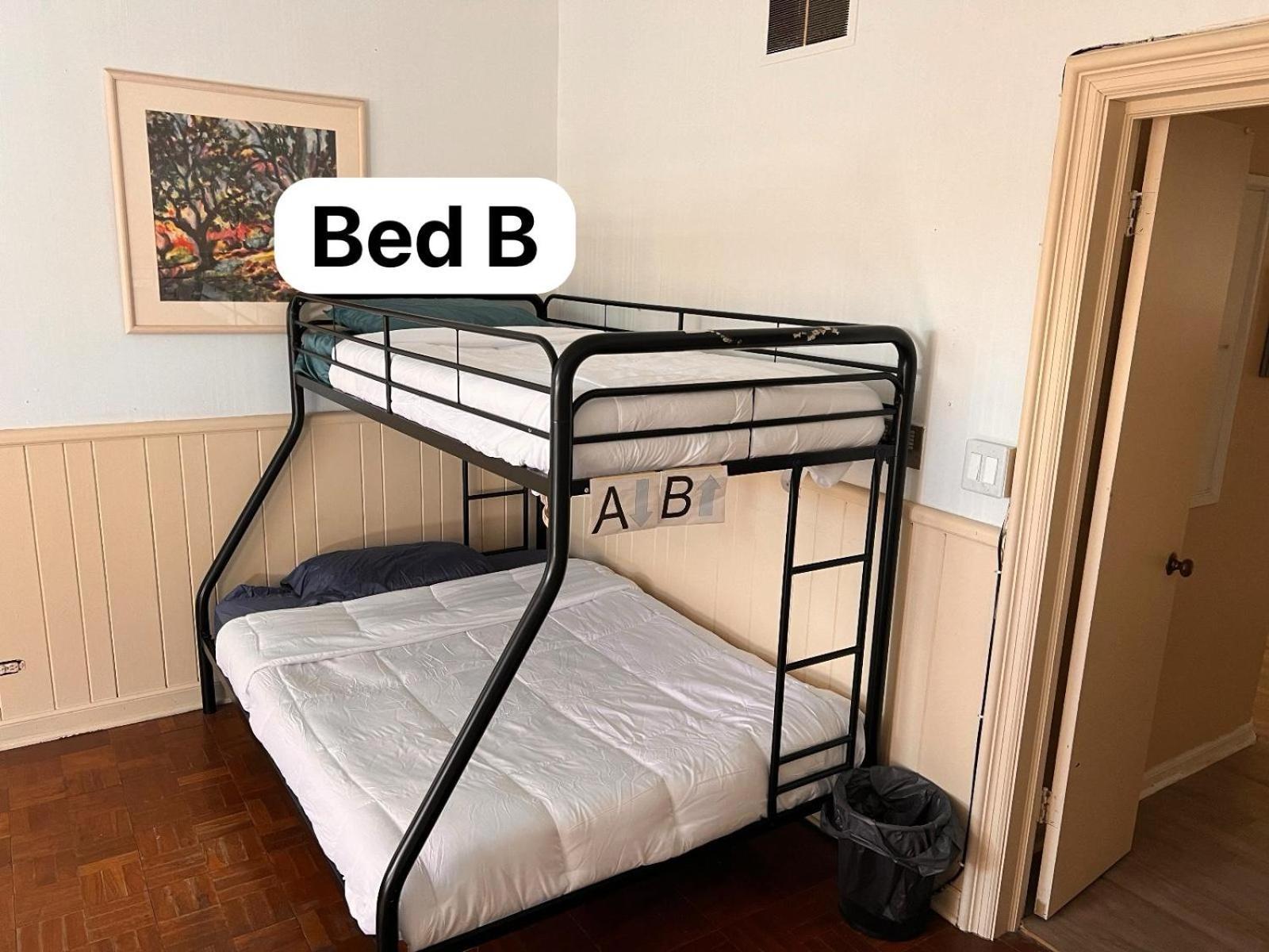 Pill Hill Mansion Hostel Chicago Luaran gambar